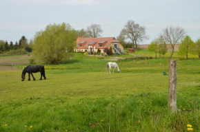 Heu-Ferienhof Altkamp